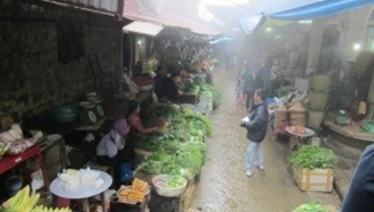 20121120-150248.jpg
