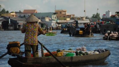 Mekong Delta