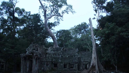 Ta Prohm Temple