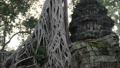 Ta Prohm Temple
