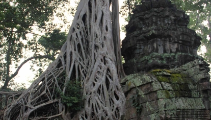 Ta Prohm Temple