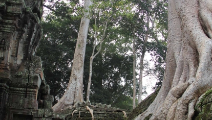 Ta Prohm Temple