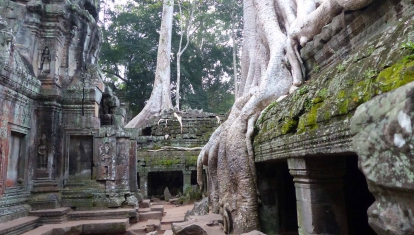 Jungle temple