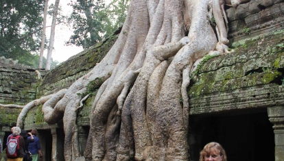 Ta Prohm Temple