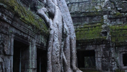 Ta Prohm Temple