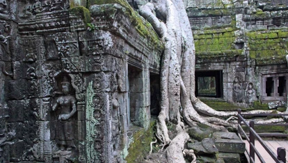 Ta Prohm Temple
