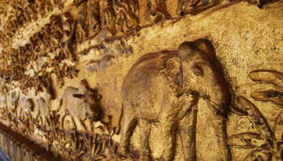 Elephant Relief in Laos