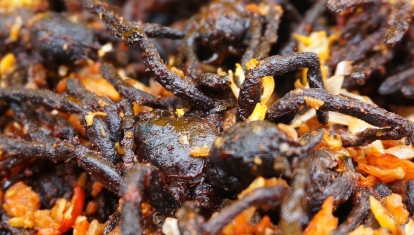 Fried tarantula in Cambodia