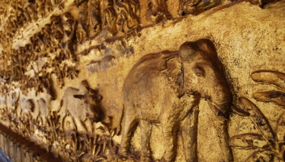 Elephant Relief