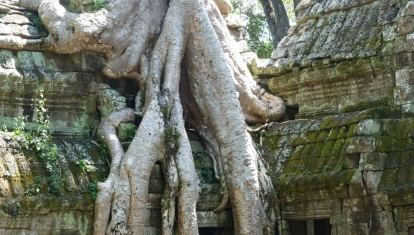 Ta Phrom