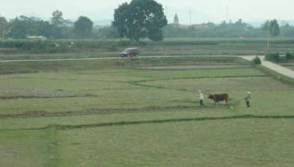 Sapa new road
