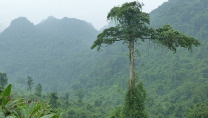 Phong Nha National Park