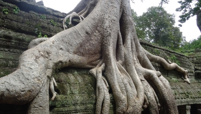 August 2014 trip