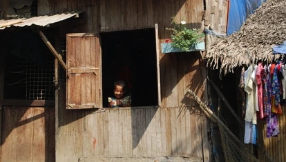 Burmese home
