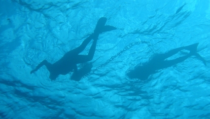 Divers silhouetted in the water.
