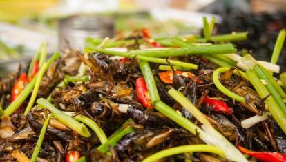 Khmer delights InsideAsia Tours