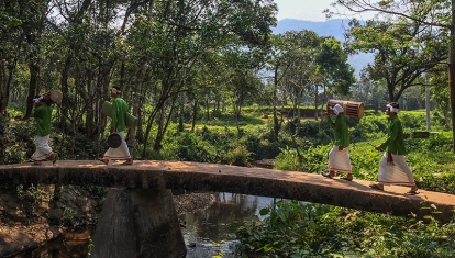 My Son, Vietnam