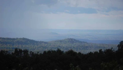 The forests of Mondulkiri