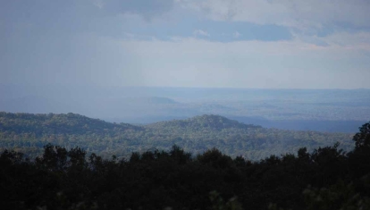 The forests of Mondulkiri