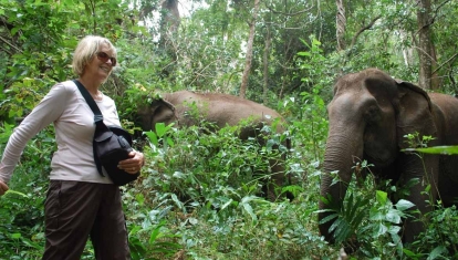 Walking with elephants