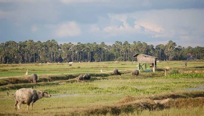 The Siem Reap countryside