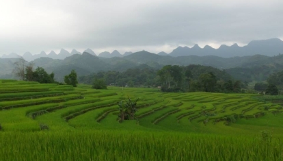 Ha Giang 1