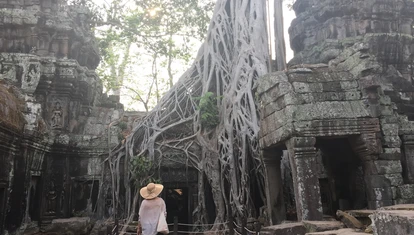 Temples of Forest Tour