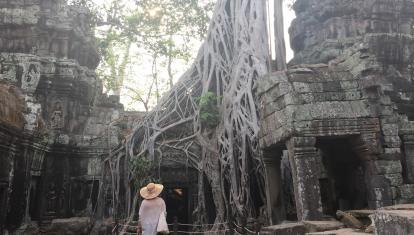 Temples of Forest Tour