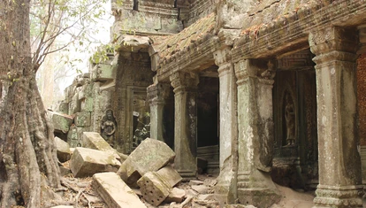 Siem Reap - Ta Prohm_5689
