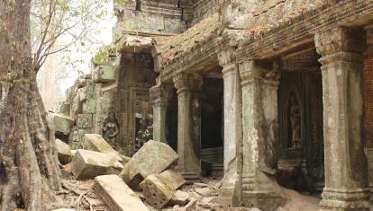 Siem Reap - Ta Prohm_5689
