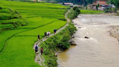Lao Chai & Ta Van - Trekking