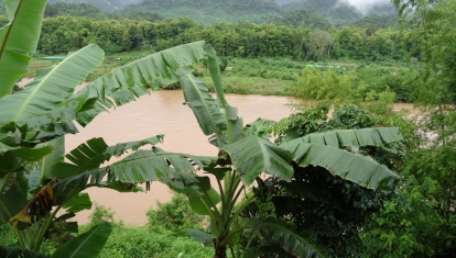 Shangri Lao Elephant Camp (10)