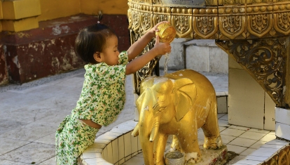 WEB_Elephant