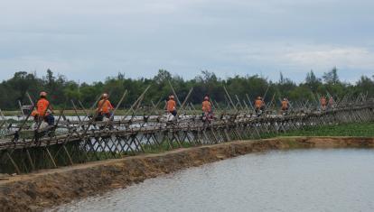 DSC09665