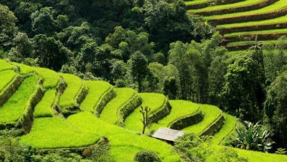 2. Ha Giang - Dong Van 4
