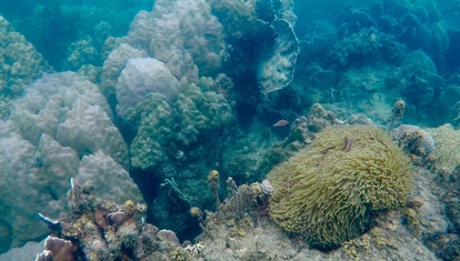 Koh Rong (2)