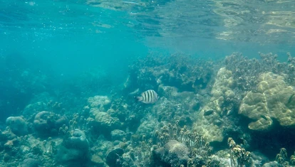 Koh Rong (3)