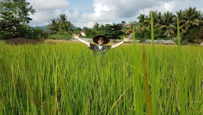 Dylan rice planting in Laos