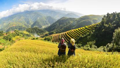 Ha Giang rice terraces, Vietnam