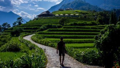 Sapa rice terraces, VIetnam