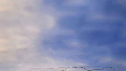 1(1)