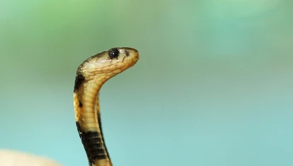boris-smokrovic-bPldxRHkTzw-unsplash