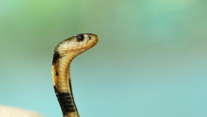 boris-smokrovic-bPldxRHkTzw-unsplash