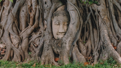Buddha statue peeks through Banyan tree roots in Ayutthaya historical park