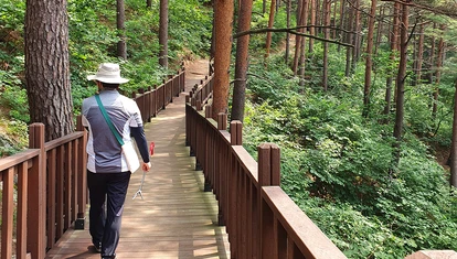 Man holding a hiking stick walks through wooden planks in a forest hike in South Korea