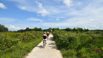 Cycling-near-Hoi-An-Vietnam