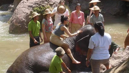 InsideAsia customers at Green Hill Valley Elephant Camp