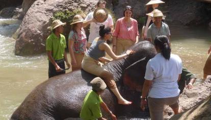 InsideAsia customers at Green Hill Valley Elephant Camp