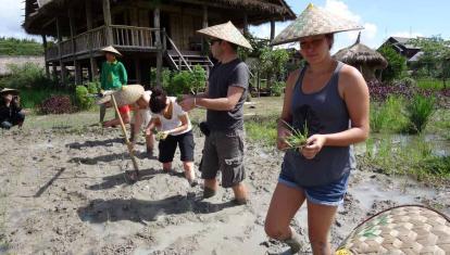 Living Land Farm - Planting Rice