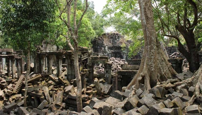 Siem Reap Province - Beng Mealea_5783